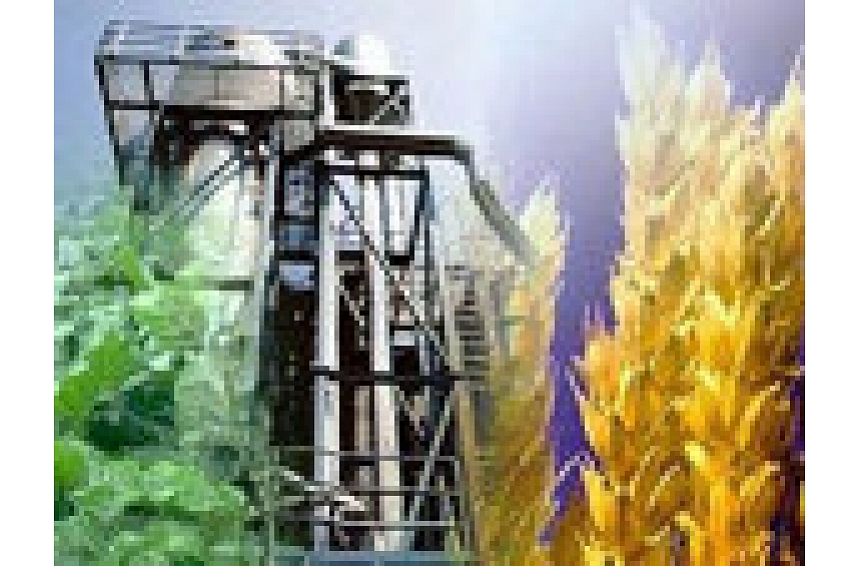 Foto: Kādām automašīnām der biodegvielas?; autors: Kādām automašīnām der biodegvielas?