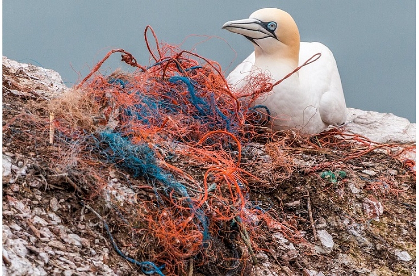 autors: Kā atbildīgi šķirota iepakojuma plēve un cita plastmasa var mazināt kaitējumu dabai?