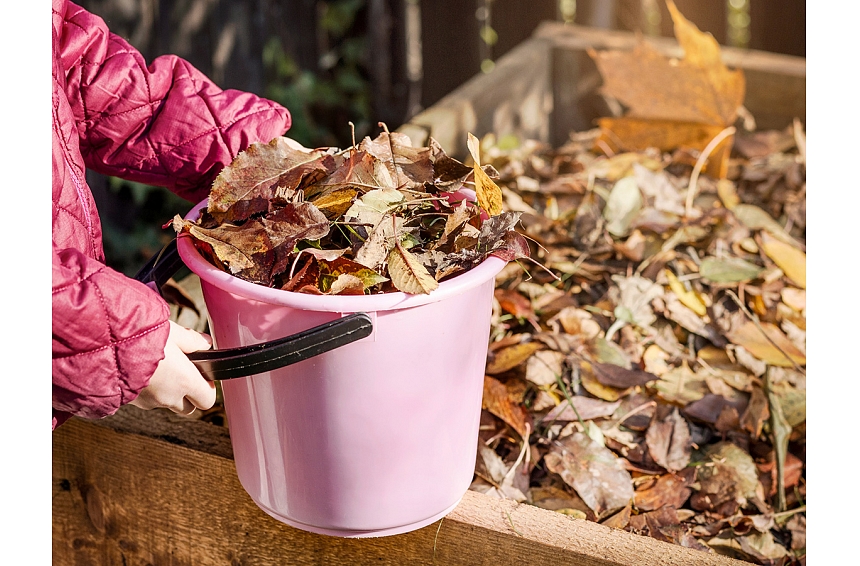 Autors: Shutterstock.com