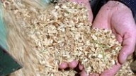 AS "Latvenergo" ieiet biokurināmā biznesā
