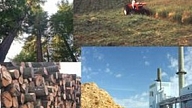 LSDSP uzskata biomasu par lauksaimniecības un enerģētikas prioritāti