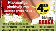 Pavasarī BORGA sveic savus esošos un topošos klientus ar pavasarīgu cenu!