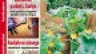 Iznācis žurnāla ZELTA ROKAS oktobra numurs