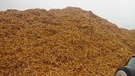 Vai šķeldas koģenerācijas "krējumu" nosmels Rīga un Daugavpils?
