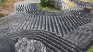 Japāņu dārzs