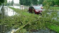 Ugunsdzēsēji glābēji 80 reizes dodas likvidēt spēcīgā vēja radītās sekas