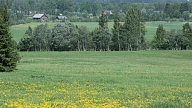 Šā gada 1. jūlijā darbu sāks Latvijas zemes fonds