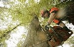 Valdība nosaka bioeļļas kvalitātes prasības