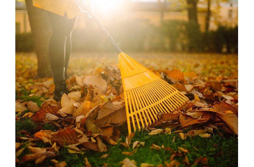 Ko darīt ar kritušajām lapām