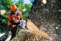 Ērgļu Profesionālā vidusskola piedāvā apgūt motorzāģa operatora profesiju