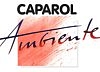 Dekoratīvās apdares dienas ar Caparol 
