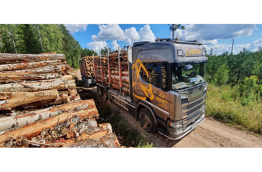 Bono Timber – uzticams partneris kokmateriālu tirdzniecībā