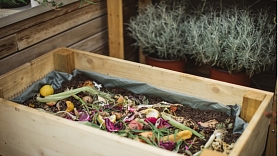 Kā sekmīgāk veidot kompostu dārzam? Iesaka eksperti