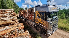 Bono Timber – uzticams partneris kokmateriālu tirdzniecībā