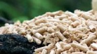 Biomasas potenciāls var palielināt atjaunojamo energoresursu lomu pilsētu energoapgādē