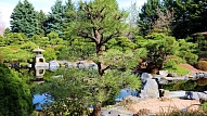 Kā iekopt japāņu stila dārzu? Stāsta speciāliste

