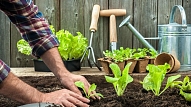 Preces mājai un dārzam – neatņemami palīgi dārza darbos