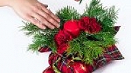 Dabas muzejā Ziemassvētku floristika