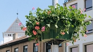 Jelgava. Uzsākta puķu dobju ierīkošana