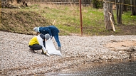 Lielā Talka tuvojas: Kā pareizi pieteikt un pievienoties talkai?