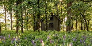 Mūsdienīgas koka mājas