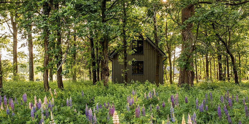 Mūsdienīgas koka mājas