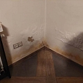 Damp Detectives mitruma ekspertīze
