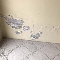 Damp Detectives sienu diagnostika