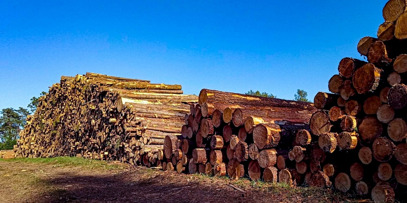 Apaļkoku tirdzniecība