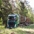 kokmateriālu iepirkšana un transportēšana
