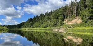 Laivu noma