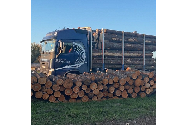 Treilera pakalpojumi