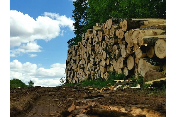 Apses baļķu iepirkšana