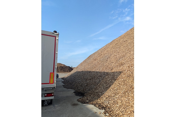 šķeldas iepirkšana