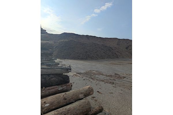 apaļkoku iepirkšana