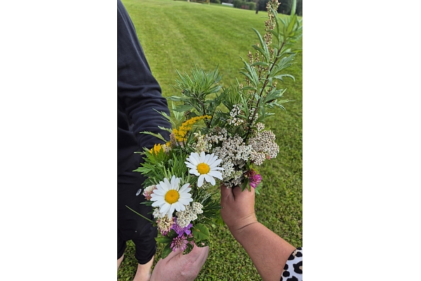 Profesionāla pirts izglītība