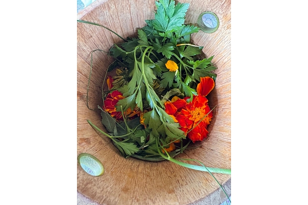 Augu terapija pirtī