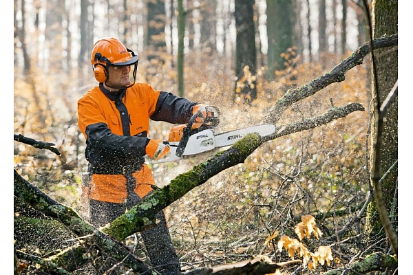Cirsmu un meža vērtēšana