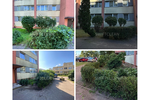 nekustamo īpašumu pārvaldnieki