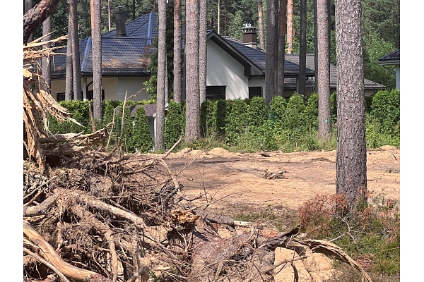 meža īpašumu uzpirkšana