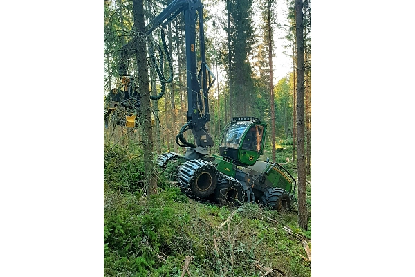 Mežizstrādes pakalpojumi