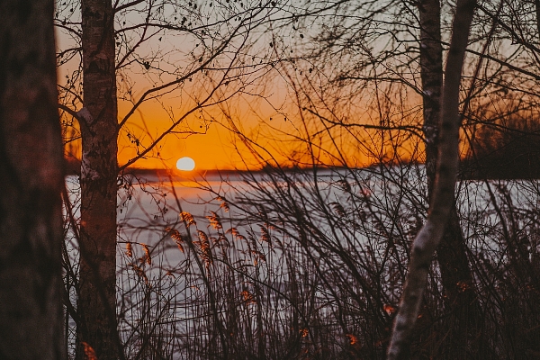 Lieliska pirts, viesu nams "Burziņi"