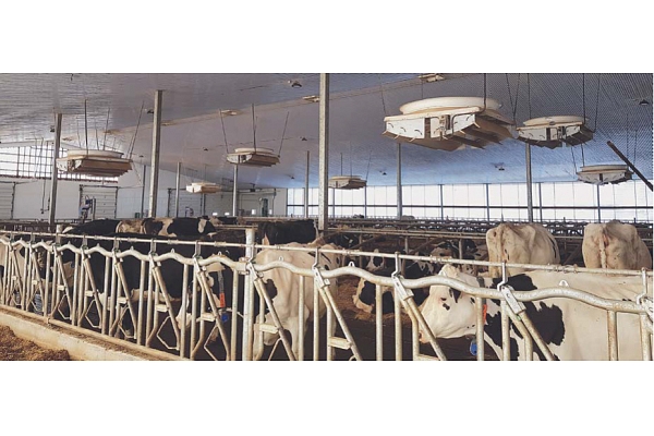 Kanādas kompānijas SECCO ventilatoru tirdzniecība un montāža