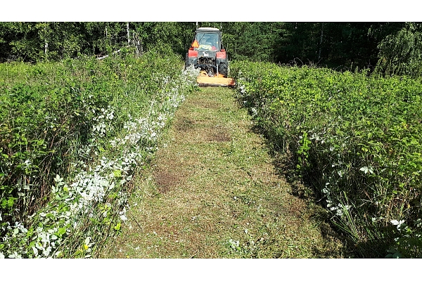 Mežizstrāde un mežkopība. Teritoriju sakopšana, koku izzāģēšana, zāles pļaušana un mulčēšana, zaru šķeldošana