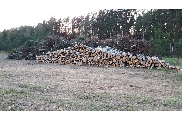 Mežizstrāde un mežkopība. Teritoriju sakopšana, koku izzāģēšana, zāles pļaušana un mulčēšana, zaru šķeldošana