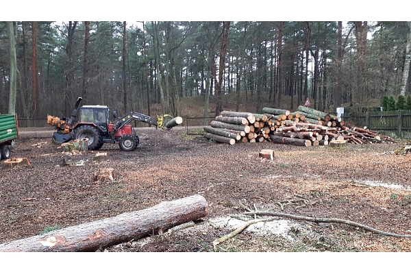 Mežizstrāde un mežkopība. Teritoriju sakopšana, koku izzāģēšana, zāles pļaušana un mulčēšana, zaru šķeldošana