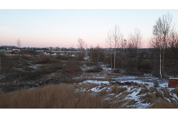 Mežizstrāde un mežkopība. Teritoriju sakopšana, koku izzāģēšana, zāles pļaušana un mulčēšana, zaru šķeldošana