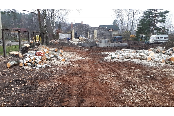 Mežizstrāde un mežkopība. Teritoriju sakopšana, koku izzāģēšana, zāles pļaušana un mulčēšana, zaru šķeldošana