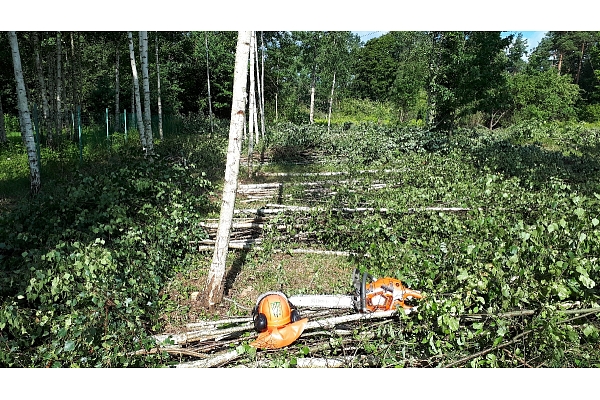 Mežizstrāde un mežkopība. Teritoriju sakopšana, koku izzāģēšana, zāles pļaušana un mulčēšana, zaru šķeldošana