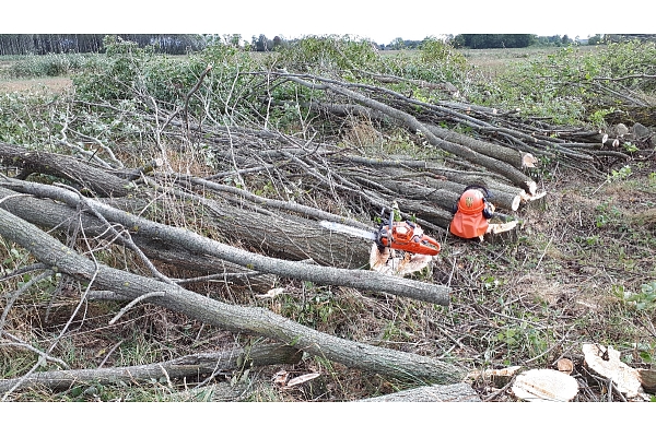 Mežizstrāde un mežkopība. Teritoriju sakopšana, koku izzāģēšana, zāles pļaušana un mulčēšana, zaru šķeldošana